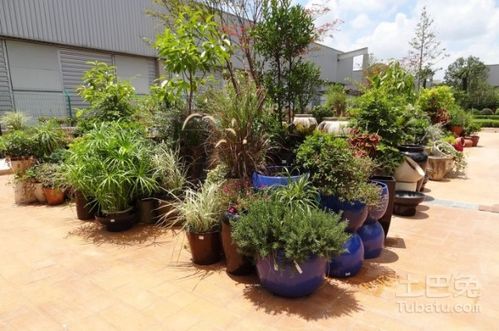 景觀花盆廠家盤(pán)點(diǎn)