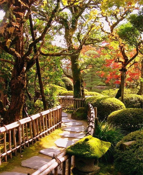 植物季相空間營(yíng)造,絕美